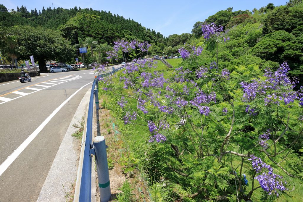 関越自動車道ツーリング2