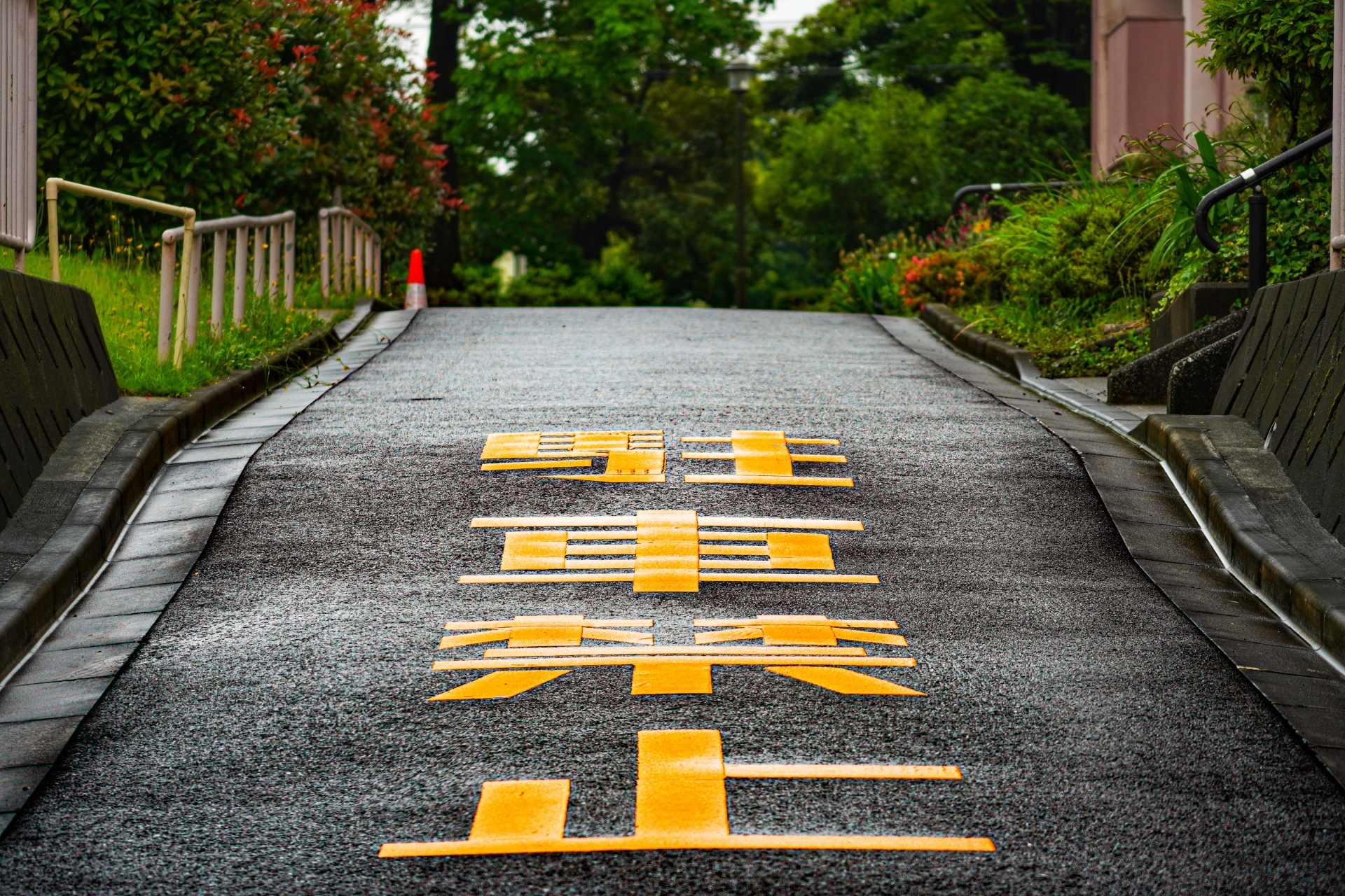 駐車禁止