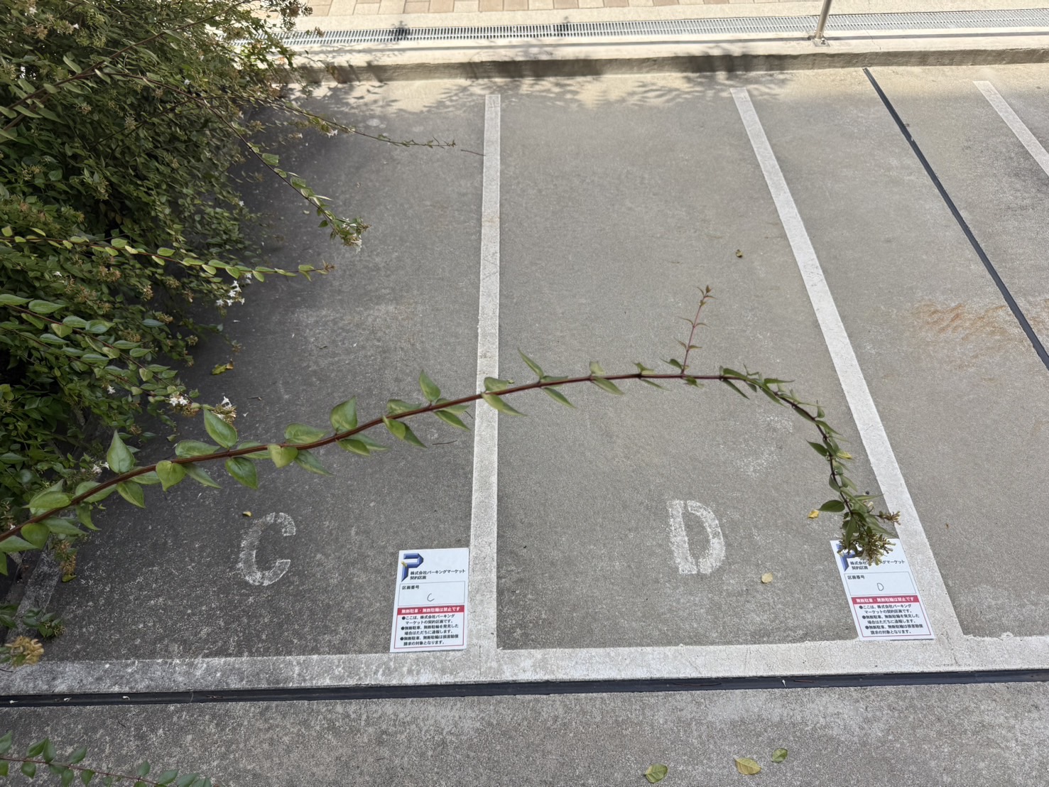 設備写真